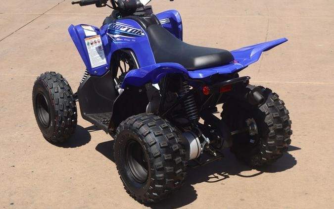 2026 Yamaha Raptor 110