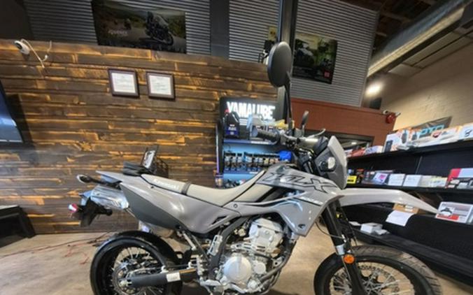 2024 Kawasaki KLX 300SM