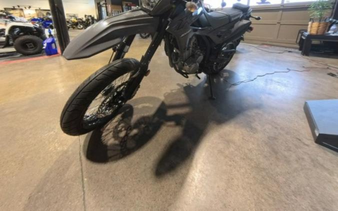 2024 Kawasaki KLX 300SM