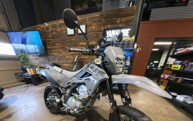 2024 Kawasaki KLX 300SM