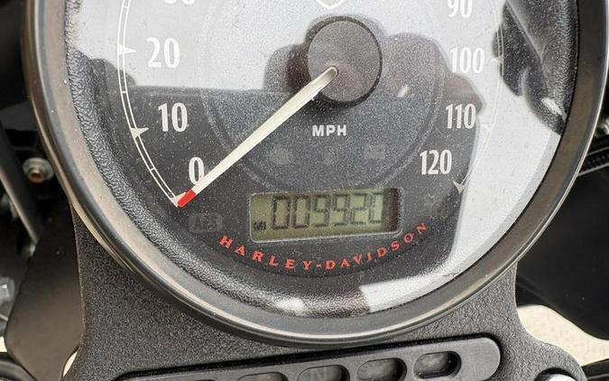 2021 Harley-Davidson® XL1200NS - Iron 1200™