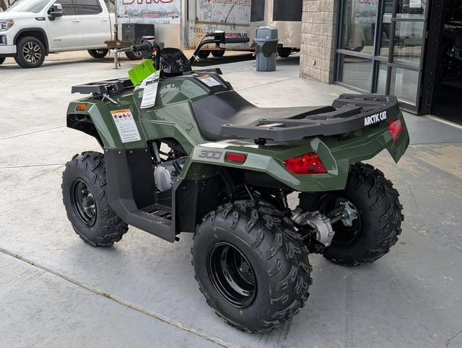 2026 Arctic Cat® Alterra 300
