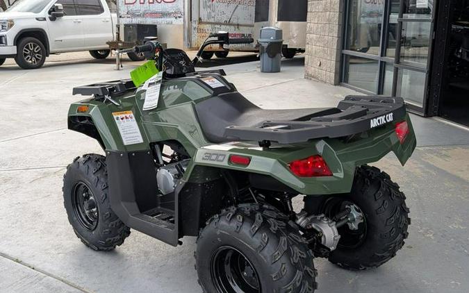 2026 Arctic Cat® Alterra 300