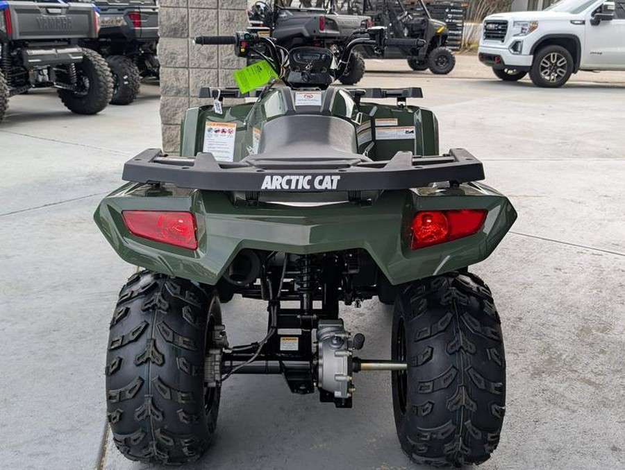 2026 Arctic Cat® Alterra 300
