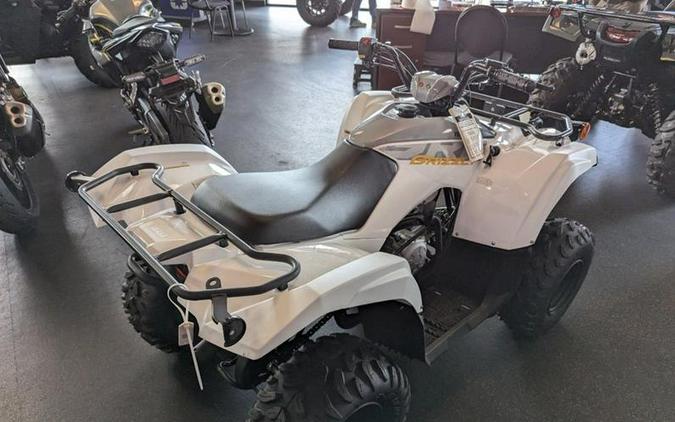 2024 Yamaha Grizzly 90