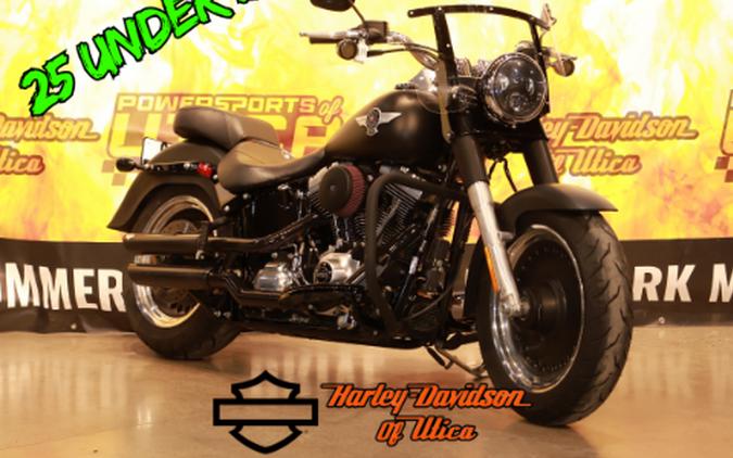 2015 Harley-Davidson Fat Boy® Lo