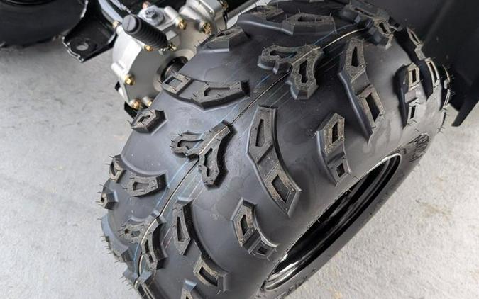 2026 Arctic Cat® Alterra 300