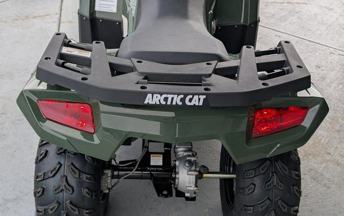 2026 Arctic Cat® Alterra 300