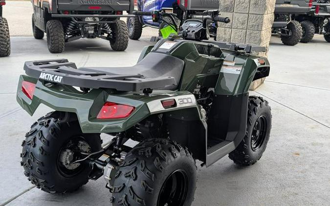 2026 Arctic Cat® Alterra 300
