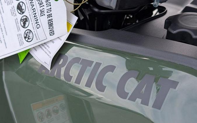 2026 Arctic Cat® Alterra 300