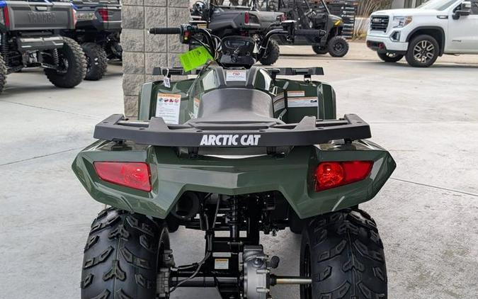 2026 Arctic Cat® Alterra 300
