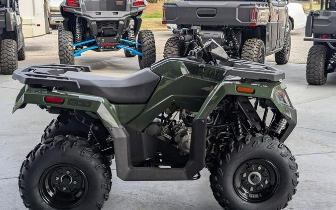 2026 Arctic Cat® Alterra 300