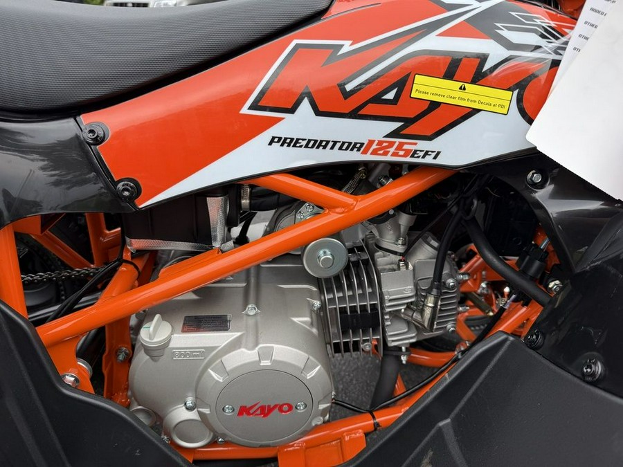 2026 Kayo Predator 125 EFI