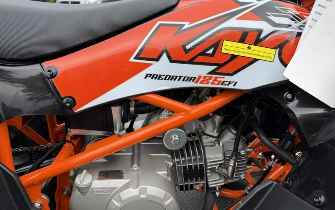 2026 Kayo Predator 125 EFI