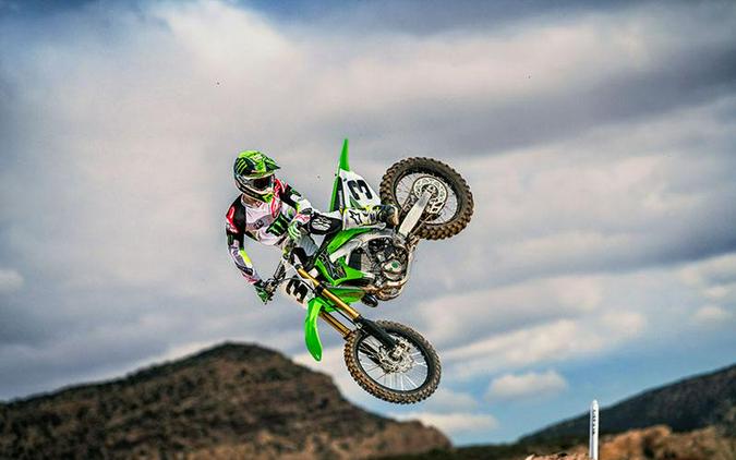 2019 Kawasaki KX 450