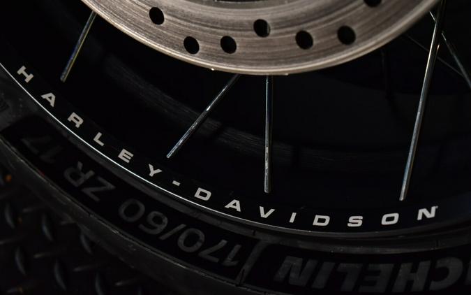 2024 Harley-Davidson Pan America 1250 Special RA1250S
