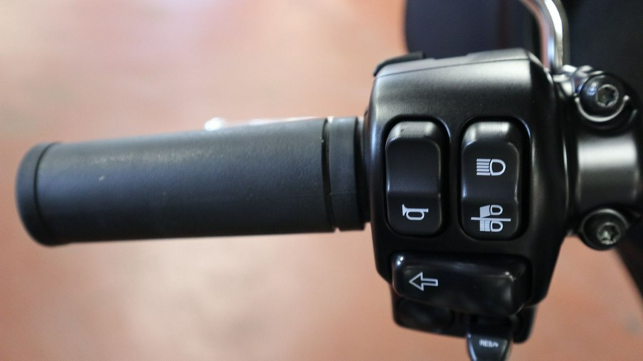 2021 Harley-Davidson Electra Glide® Standard