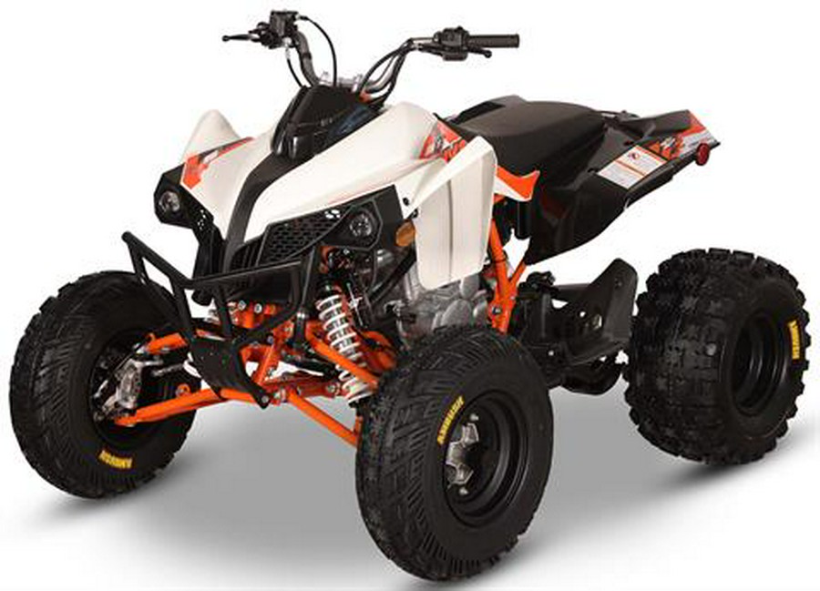2026 Kayo Storm 300 EFI