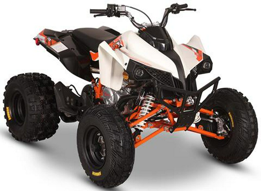 2026 Kayo Storm 300 EFI