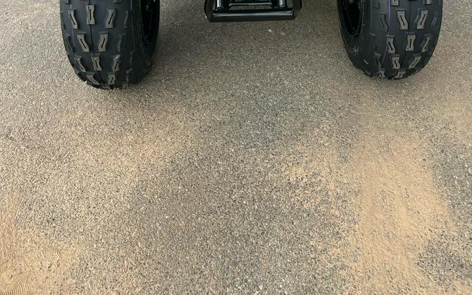 2025 Kawasaki KFX 90