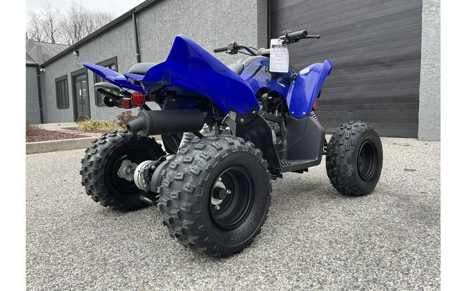 2024 Yamaha Raptor 110