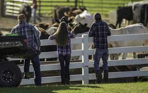 2021 Polaris Ranger Crew 1000