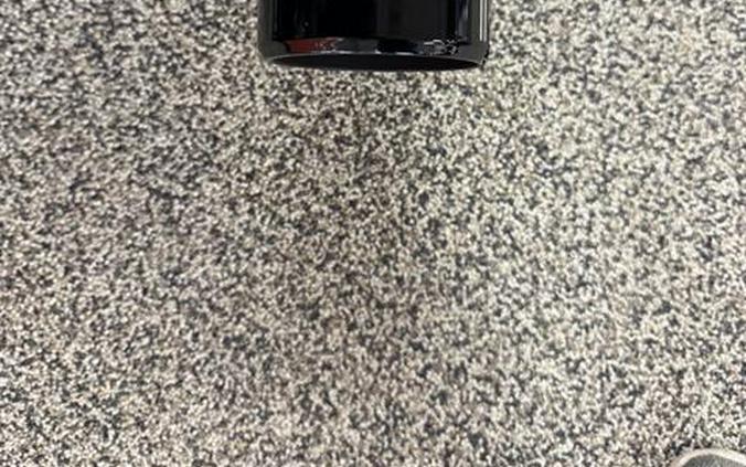 2017 Harley-Davidson Electra Glide® Ultra Classic®