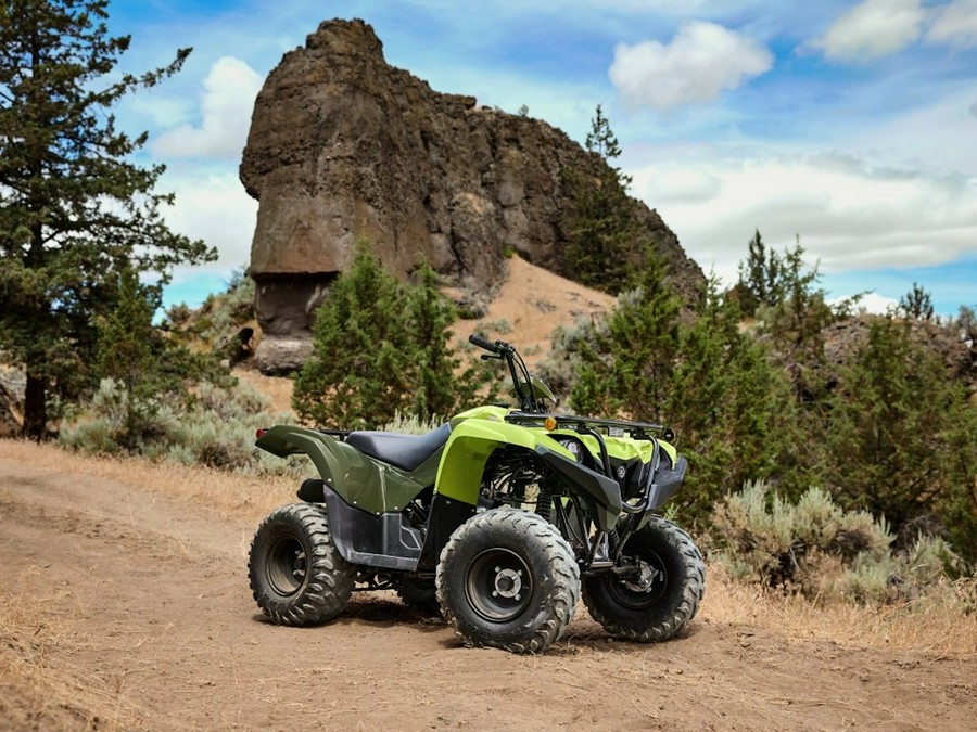 2026 YAMAHA Grizzly 110 Tactical Green / Acid Green - 006130