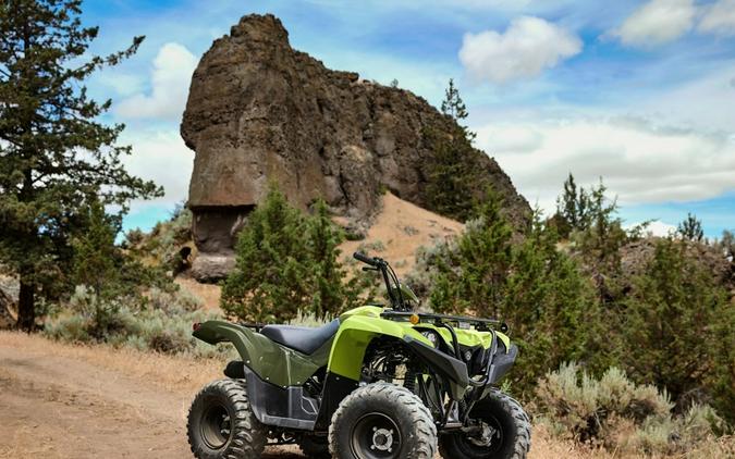 2026 YAMAHA Grizzly 110 Tactical Green / Acid Green - 006130