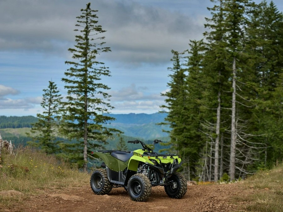 2026 YAMAHA Grizzly 110 Tactical Green / Acid Green - 006130