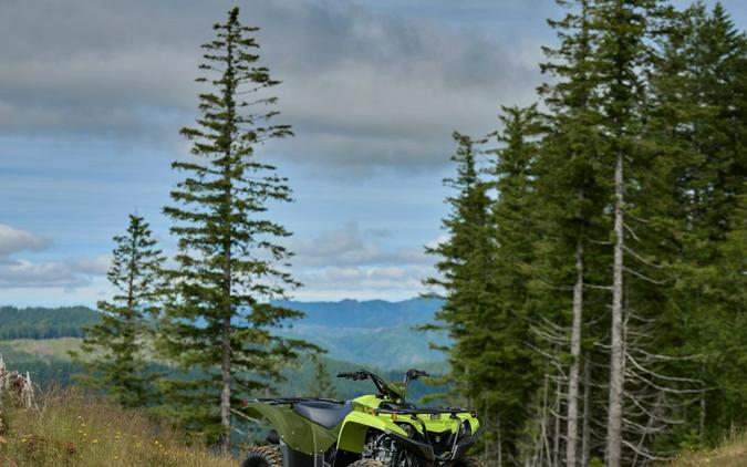 2026 YAMAHA Grizzly 110 Tactical Green / Acid Green - 006130