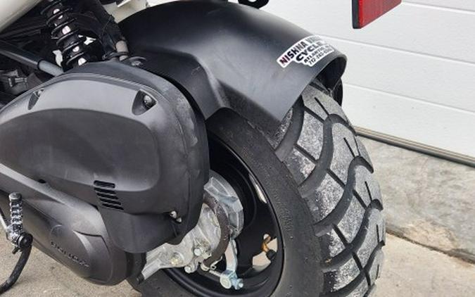 2023 Honda Ruckus