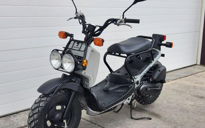 2023 Honda Ruckus