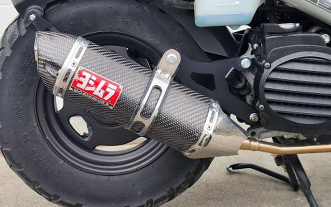 2023 Honda Ruckus