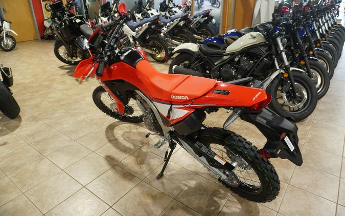 2025 Honda CRF300LAS
