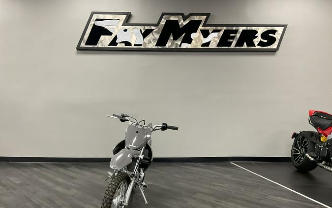 2025 KAWASAKI KLX 110R - 62903K