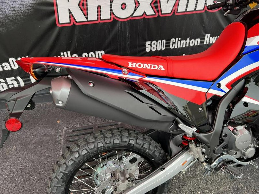 2023 Honda® CRF300L Rally