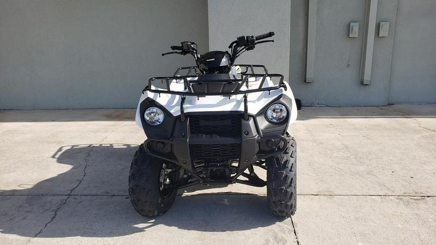 2023 Kawasaki Brute Force® 300