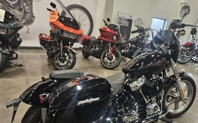 2023 Harley-Davidson® FXST - Softail® Standard