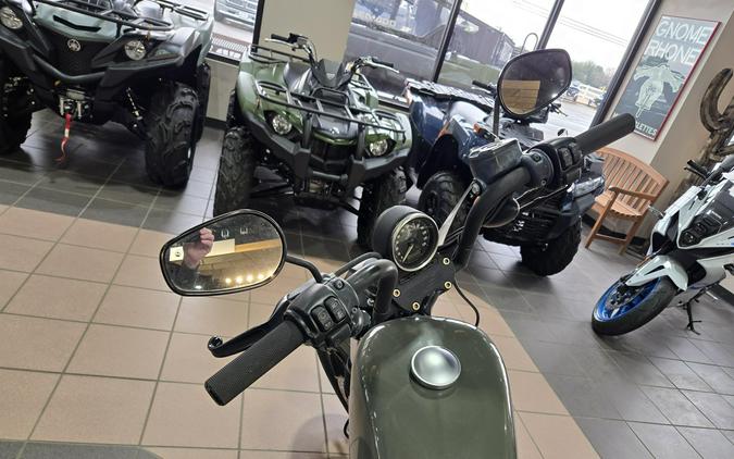 2019 HARLEY SPORTSTER IRON 883