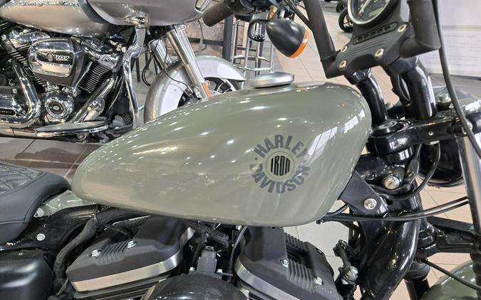 2019 HARLEY SPORTSTER IRON 883