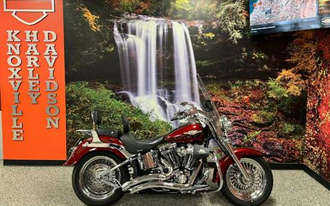 2009 Harley-Davidson Softail® Fat Boy®