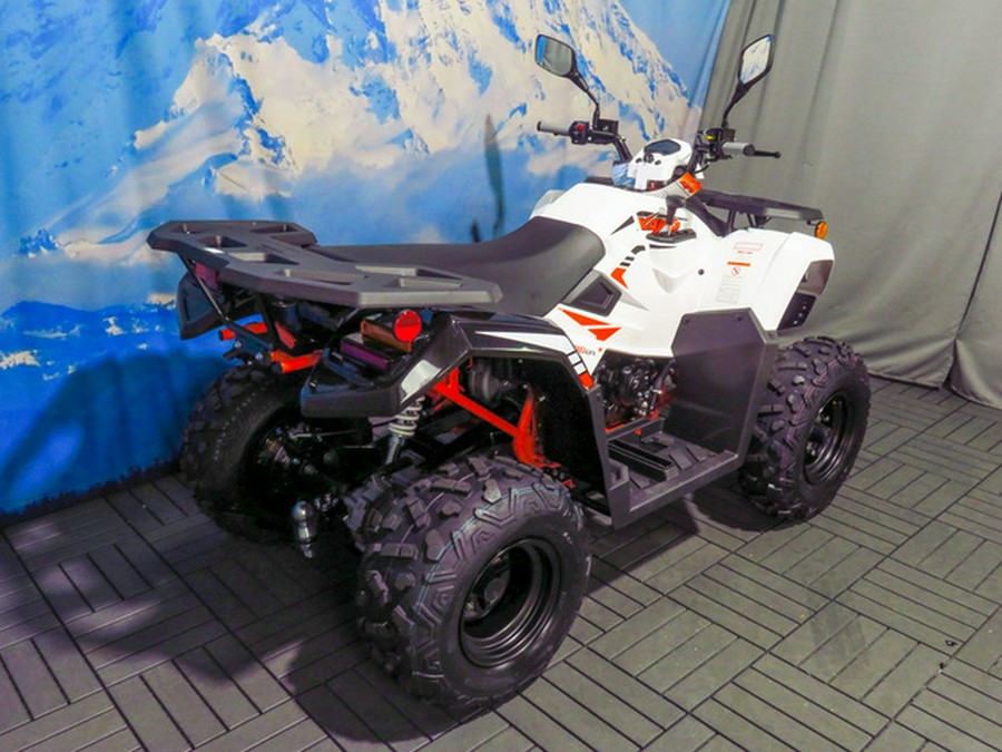 2027 Kayo Bull 300 EFI