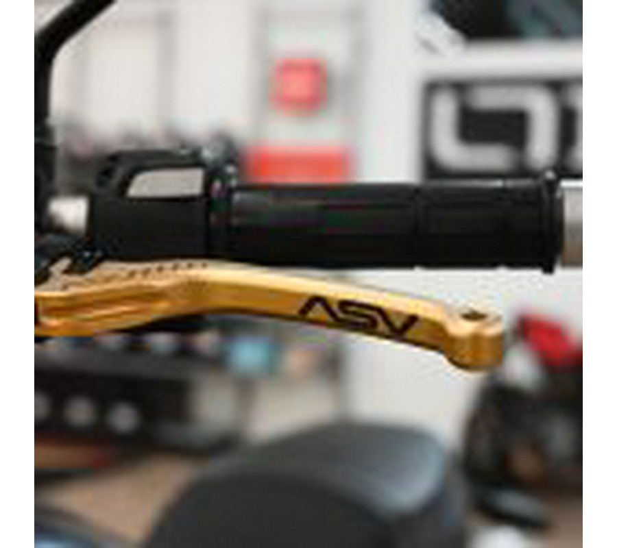 2019 Ducati Scrambler 1100