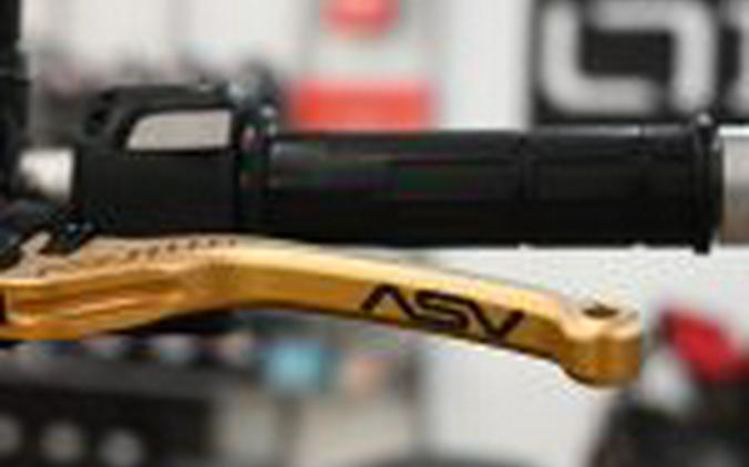 2019 Ducati Scrambler 1100