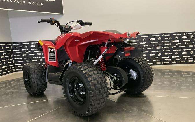 2027 CAN-AM RENEGADE 70 EFI - 52044B