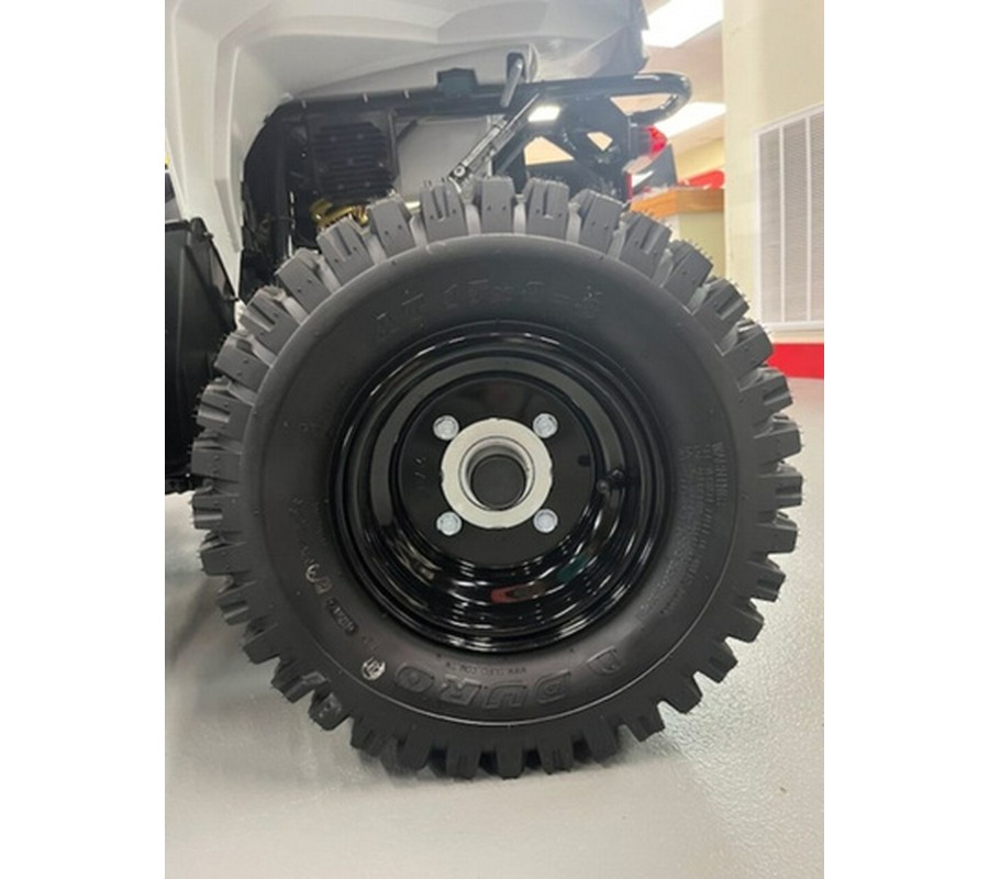 2025 Can-Am Renegade 70 EFI