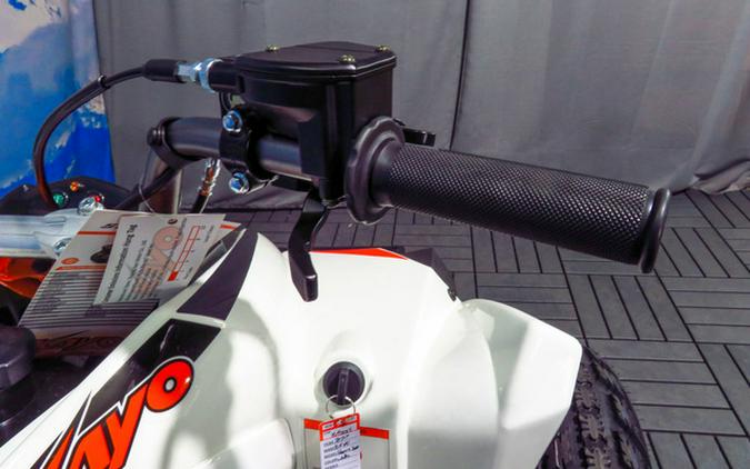 2027 Kayo Storm 300 EFI