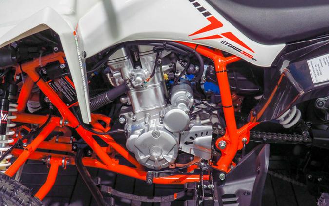 2027 Kayo Storm 300 EFI