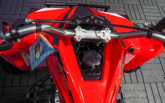 2027 Kayo Storm 300 EFI